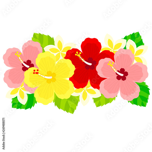 ハイビスカスとプルメリアのイラスト素材 Stock Vector Adobe Stock