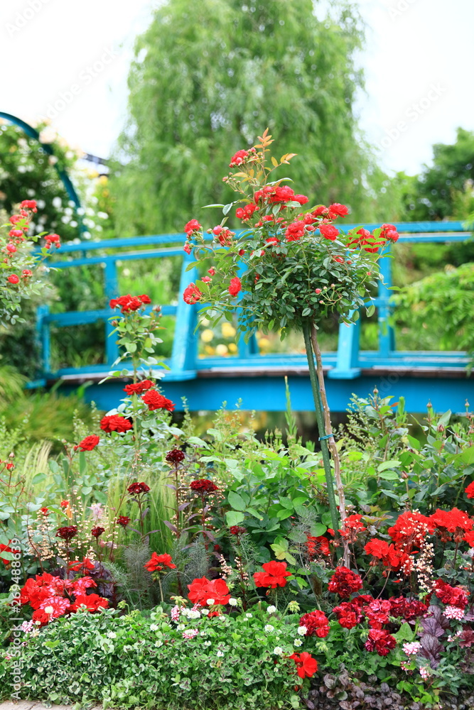 Obraz premium 青い橋と赤いバラ