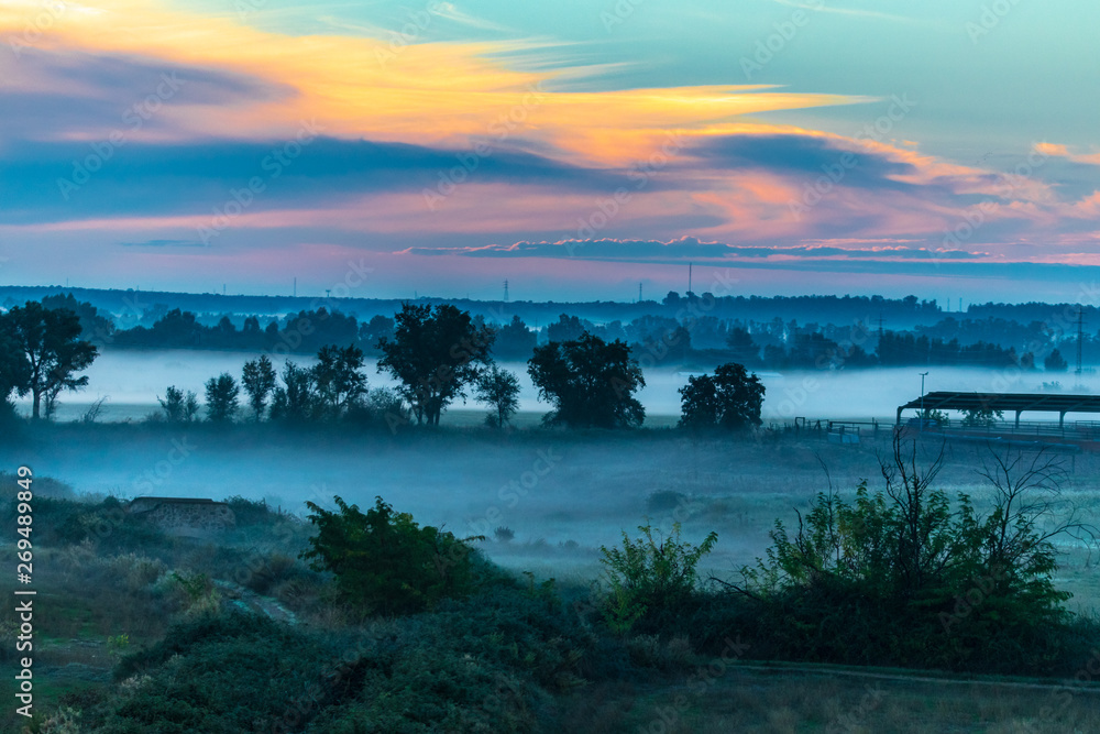 morning fog