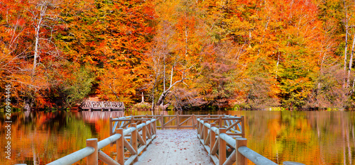 Konstfotografi Autumn landscape in (seven lakes) Yedigoller Park Bolu, Turkey