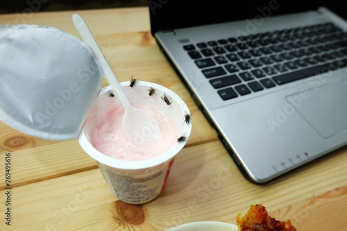 Foto Many flies or house fly are swarm on yogurt and food on the desk, Flies are carriers of various pathogens