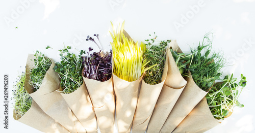 Vegetarian concept: healthy microgreen dill sprouts, radishes, mustard, arugula, sunflower, cucumber, onion, lucern, pea in in small packages isolated on the white background. Natural and eco concept photo