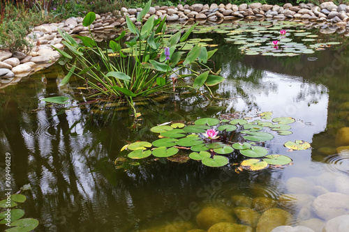 Artificial decorative pond with plants in the Park area.