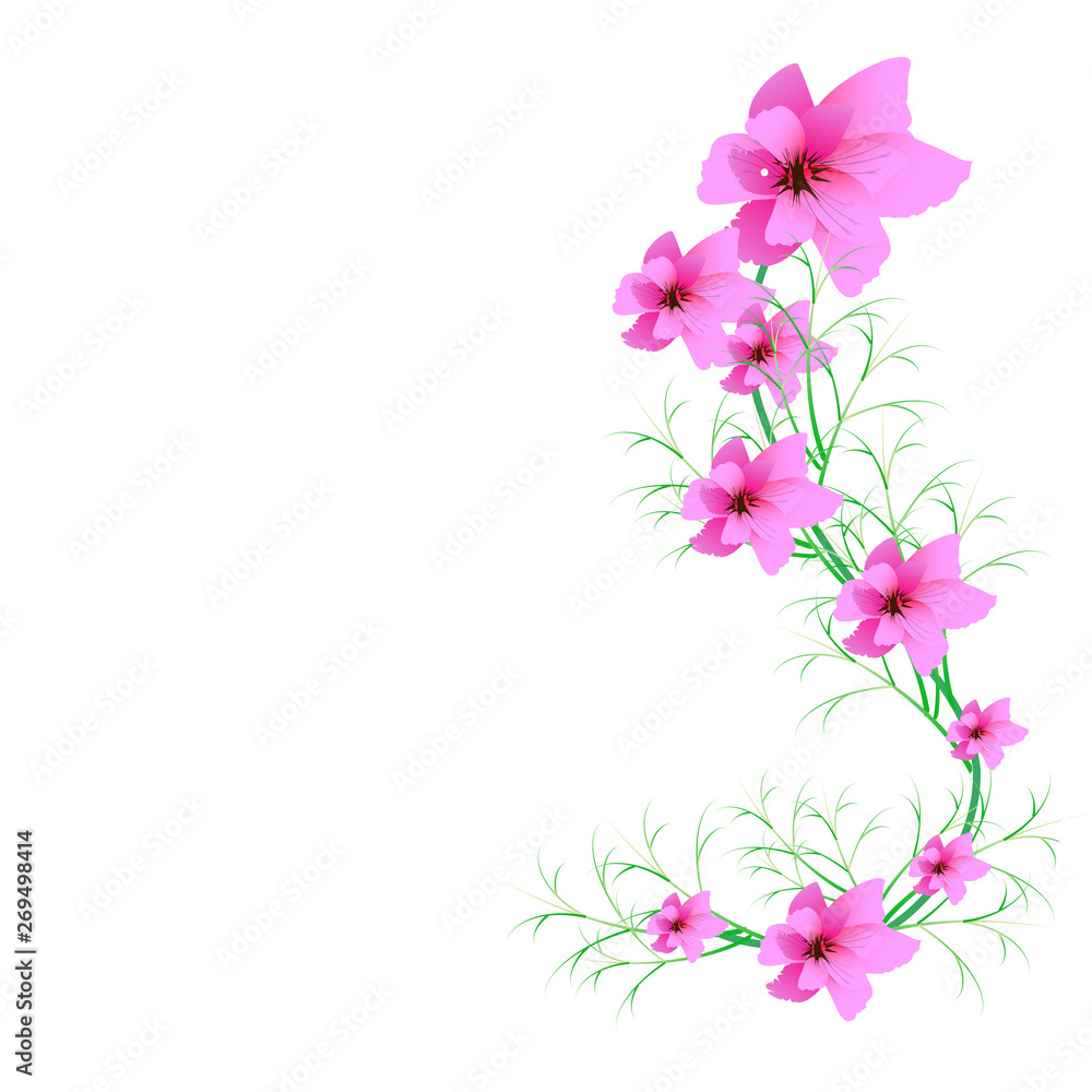 beautiful flowers beautiful flowers