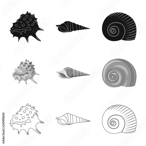 Isolated object of animal and decoration icon. Set of animal and ocean vector icon for stock. © Svitlana