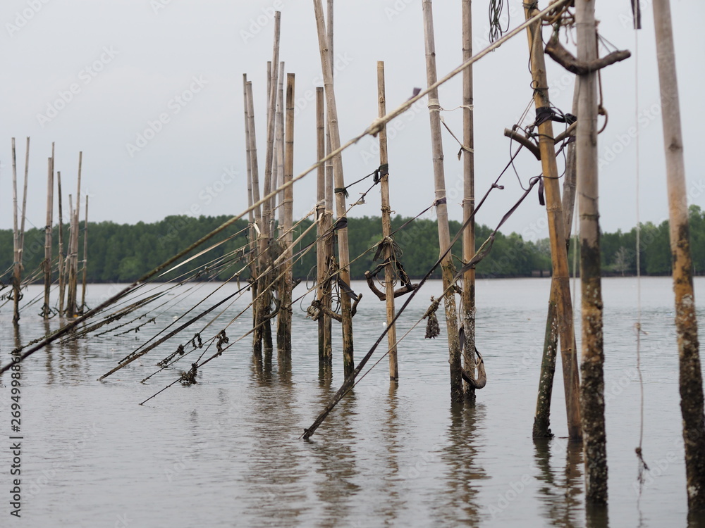 Bamboo poles adhered to the net for catch fish reflection in the water sea environmet background