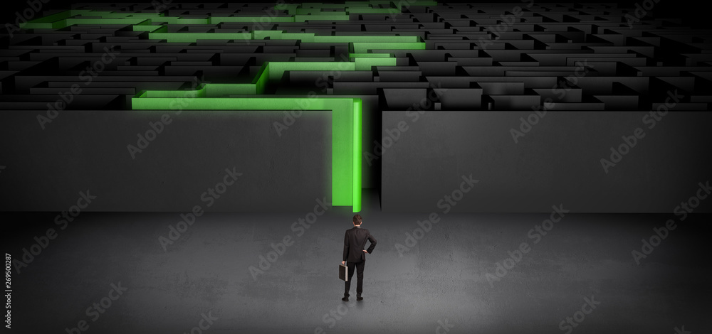 Businessman getting ready to enter the dark labyrinth with stated road concept
Businessman getting ready to enter the dark labyrinth with stated road concept