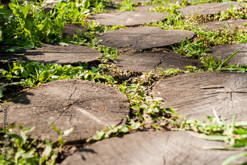 Foto The path in the park is made of wooden stumps.
