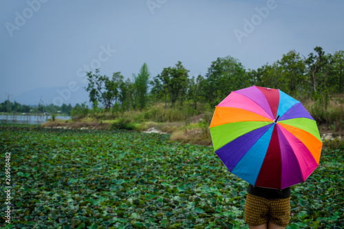 The girl stands in the middle of a colorful umbrella.  Looking to the lake full of lotus flowers