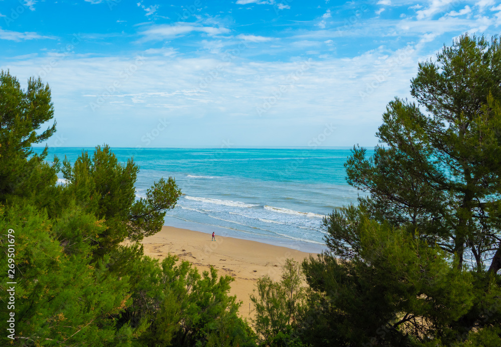 Pineto (Italy) - The touristic sandy beach of Abruzzo with the monumental pine forest and the famous tower castle called Torre di Cerrano Pineto (Italy) - The touristic sandy beach of Abruzzo with the monumental pine forest and the famous tower castle called Torre di Cerrano