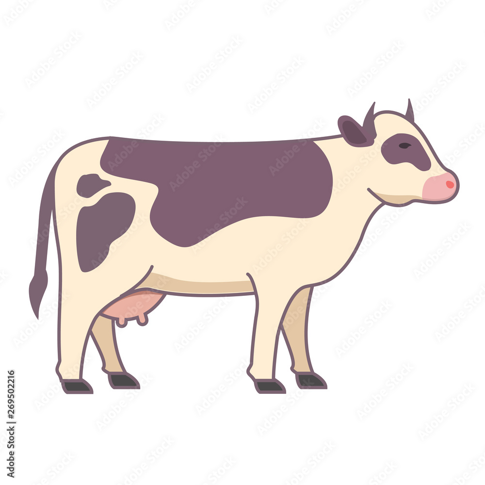 Cow isolated animal. Vector illustration in cartoon flat.