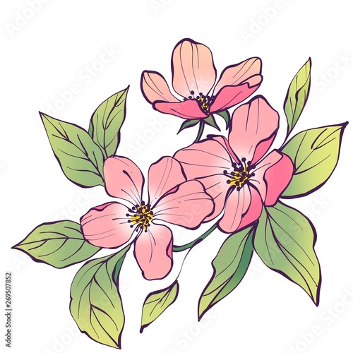 Flowers branch isolated on white background. Line art illustration