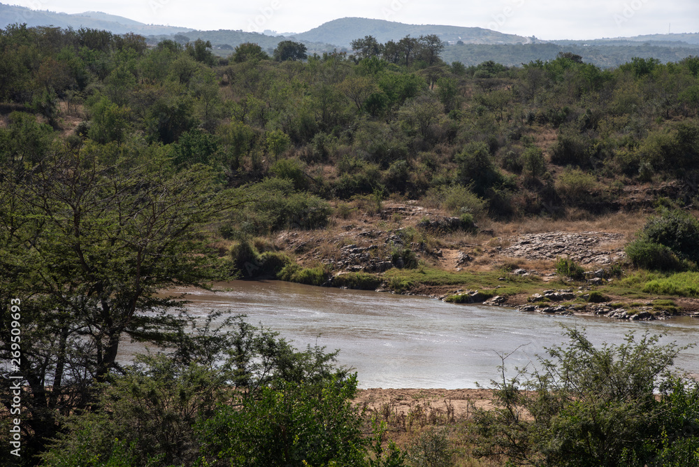 A section of the Black Umfolozi River where animals drink, South Africa.