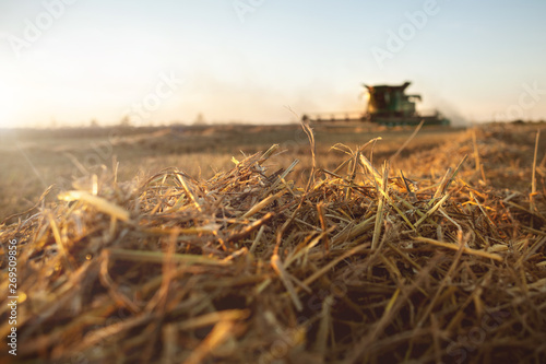 Stroh und Mähdrescher auf einem Weizenfeld