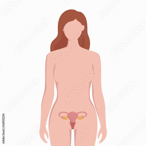 Uterus on woman body silhouette vector medical illustration isolated on white background. Human inner organ placed in bady infographic elements in flat design.