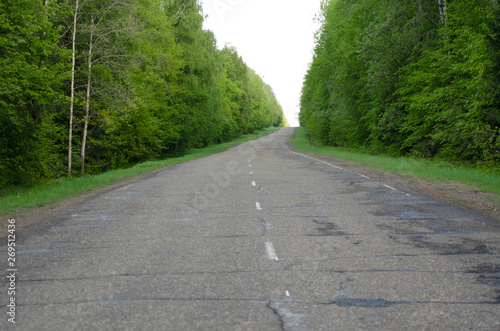 Road in the forest  asphalt  wallpaper