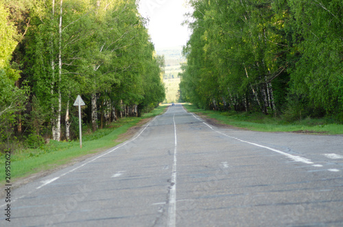 Road in the forest, asphalt, wallpaper