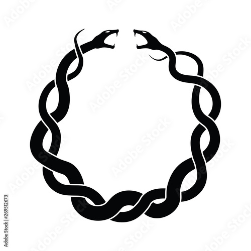 Intertwined snakes facing each other