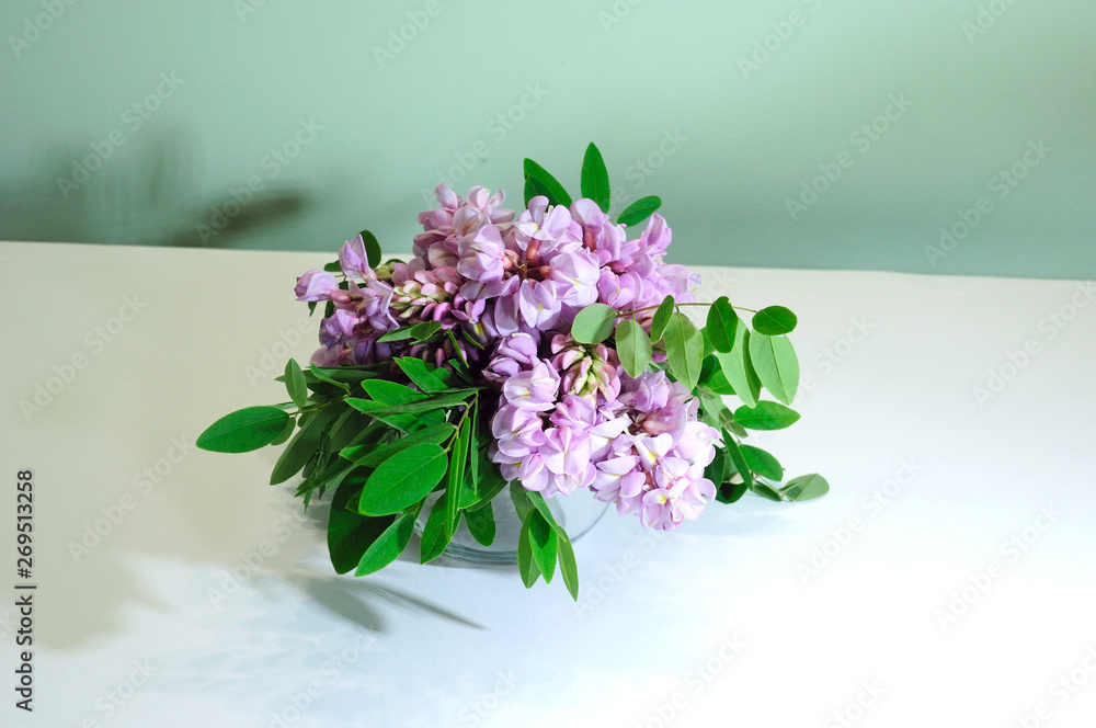 Bouquet of pink acacia in a glass vase on a white background. .Space for text. Bouquet of pink acacia in a glass vase on a white background. .Space for text.