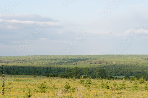 extensive forests  trees on the horizon