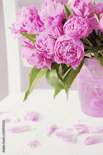 Flowering tree peony pink in a beautiful garden.