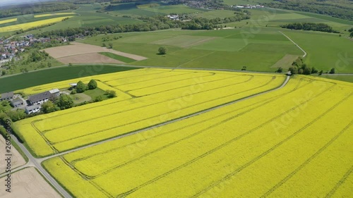 Aerial view, flight over agriculture with cereal fields and rapeseed cultivation, Schöffengrund, Schwalbach, Hochtaunuskreis, Hesse, Germany photo