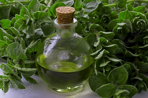 Fresh green thyme and oregano oil in bottles.