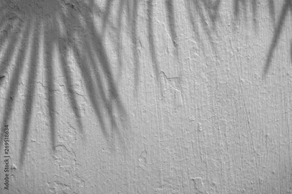 black and white cement wall background