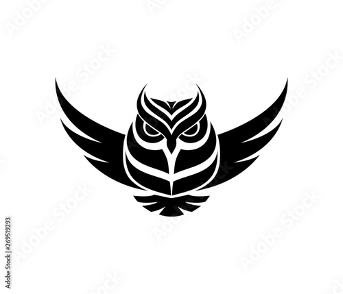 Vector illustration with the image of an owl pattern in design on a black white background.