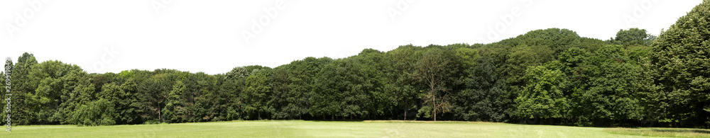Very high definition Treeline isolated on a white background Very high definition Treeline isolated on a white background
