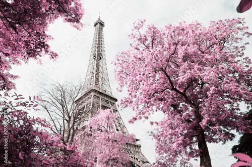Fototapeta Naklejka Na Ścianę i Meble -  Eiffel Tower