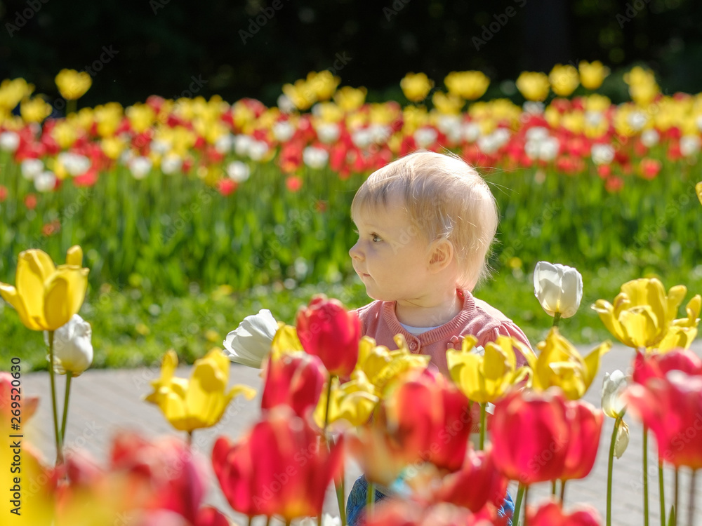 Little girl on the background of blooming tulips. Little girl on the background of blooming tulips.