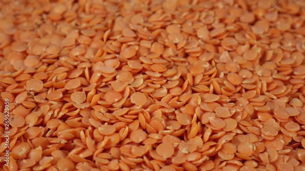 Rotation of a Red Lentil (Seamless Loopable) Rotation of a Red Lentil (Seamless Loopable)
