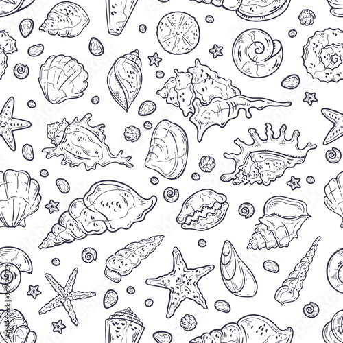 Vector sketching illustrations. Different types of seashells. © Alevtina