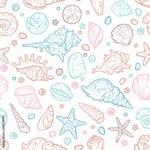 Vector sketching illustrations. Different types of seashells.
