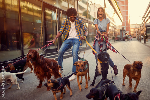 Photography girl and man dog walker with group of dogs enjoying in walk..