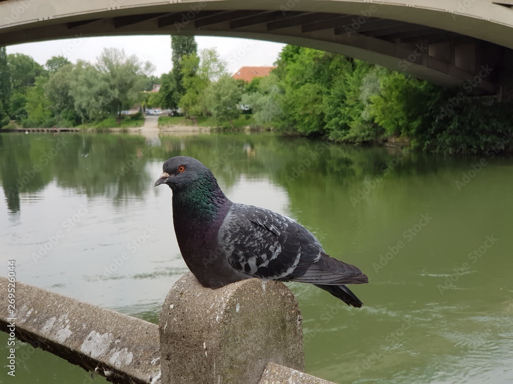 Obraz premium Balade le long de la Marne