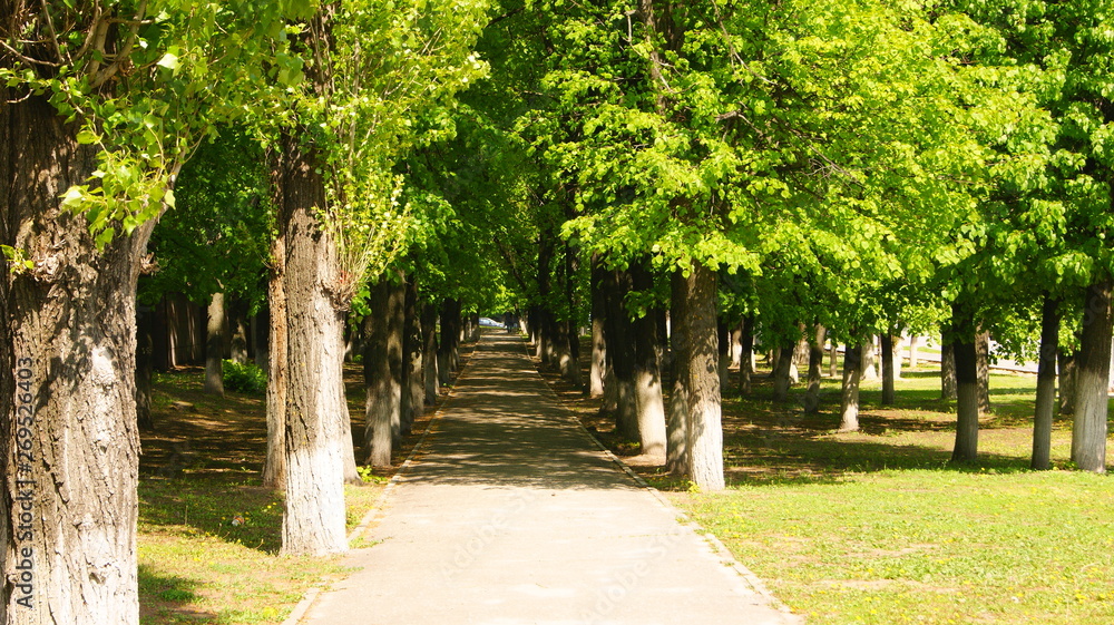 alley in the park