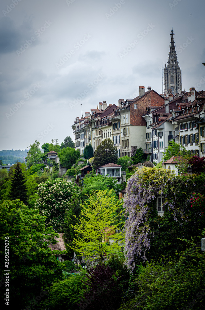 Casas tipicas suizas rodeadas de bosques y naturaleza, en la ciudad de Bern