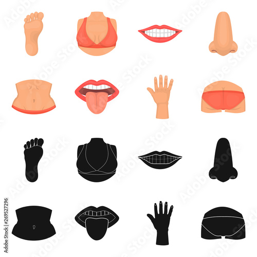 Isolated object of body and part icon. Set of body and anatomy vector icon for stock.