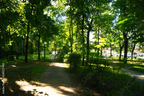 alley in the park