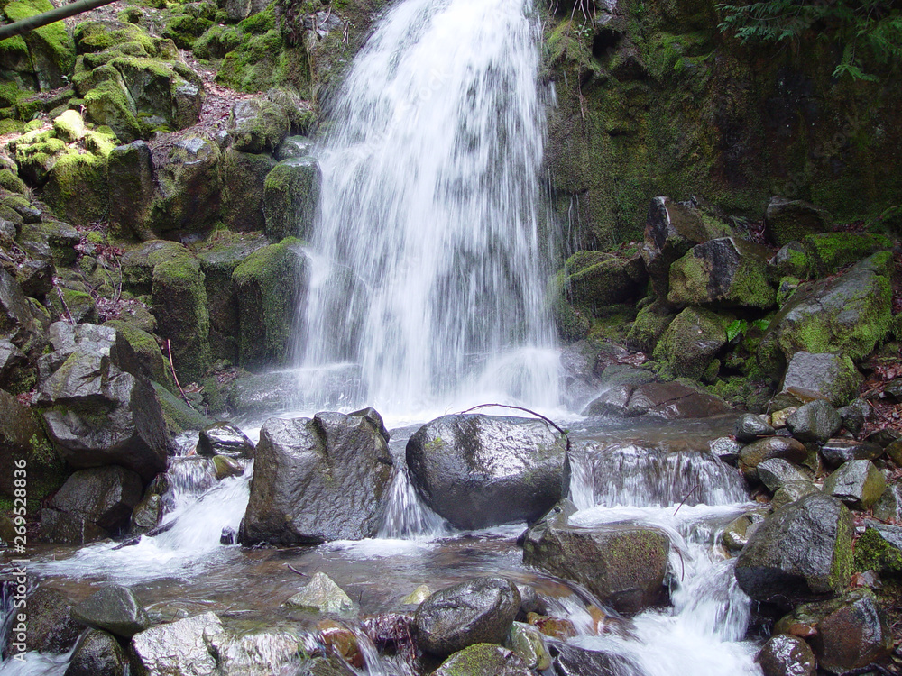 Fototapeta premium Waterfall