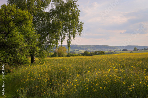 Rural landscape in Bliesgau. Saarland, western Germany on a cloudy yet bright afternoon in the spring