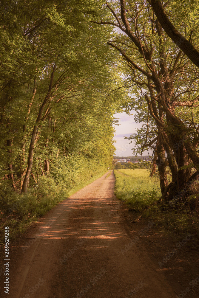 Fototapeta premium Rural landscape in Bliesgau. Saarland, western Germany on a cloudy yet bright afternoon in the spring