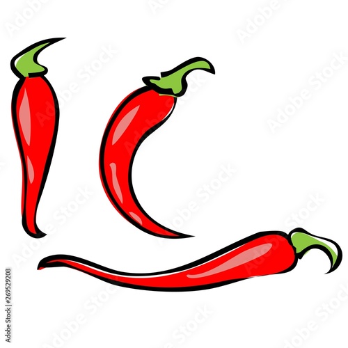 Chilli pepper isolated on white background. Chili chile pepper fruit of plants from the genus Capsicum. Red hot pepper icon realistic vector illustration in flat style . Kitchen spice condiment.