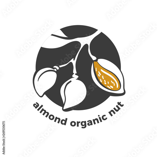 Almond symbol. Vector branch, nut. Graphic illustration