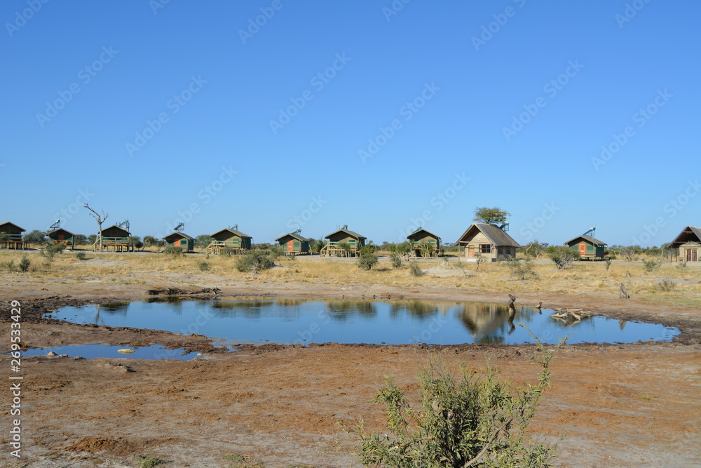 BOTSWANA (safari fotografico) BOTSWANA (safari fotografico)