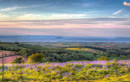 Quantock Hills Somerset towards Hinkley Point Nuclear Power Station with bluebell flowers in colourful HDR like a painting
