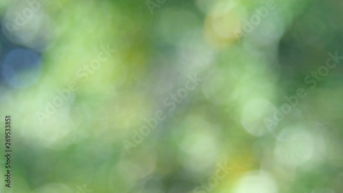 Green bio background, abstract blurred foliage bright sunlight. Organic design nature abstract background with copyspace for text advertising design. Green abstract light background and bokeh effect