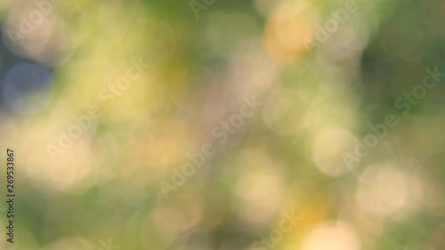 Defocused abstract nature background yellow leaves and bokeh lights. Royalty high-quality free stock image of natural blurred bokeh background from leaf with copyspace for text advertising design